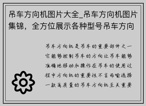 吊车方向机图片大全_吊车方向机图片集锦，全方位展示各种型号吊车方向机，助您选购理想产品